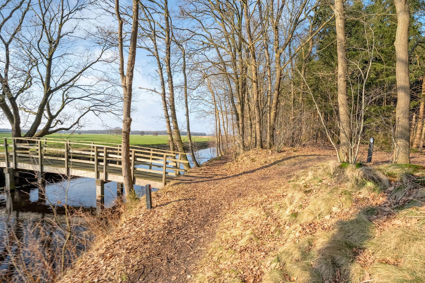 Foto 65 van Westerlaan 7