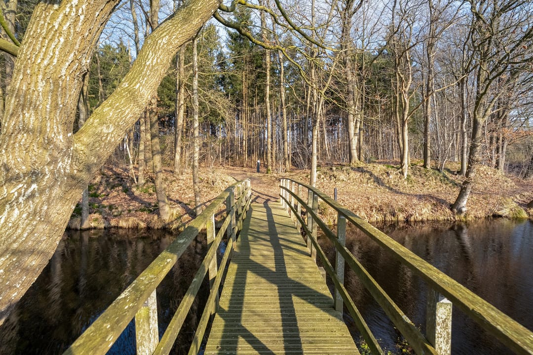 Foto 67 van Westerlaan 7