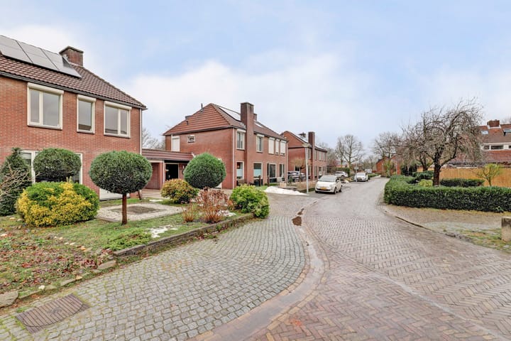 Foto 45 van Heilige Stoel 6544