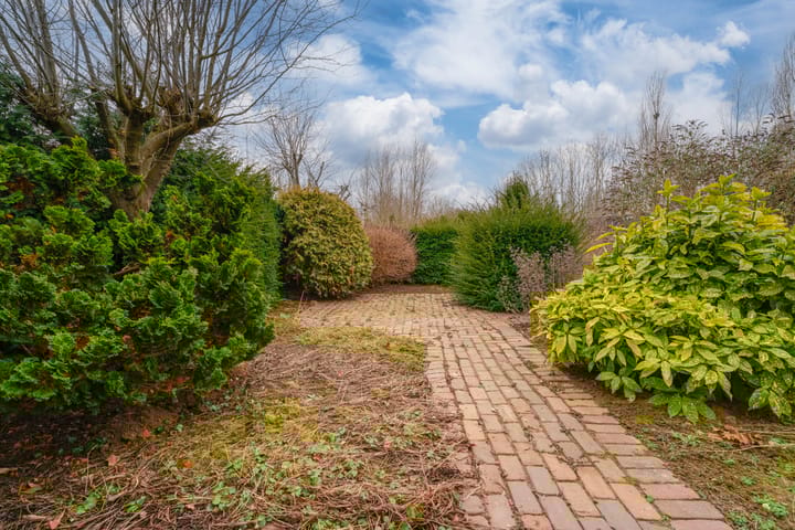 Foto 59 van Rekkenveld 34