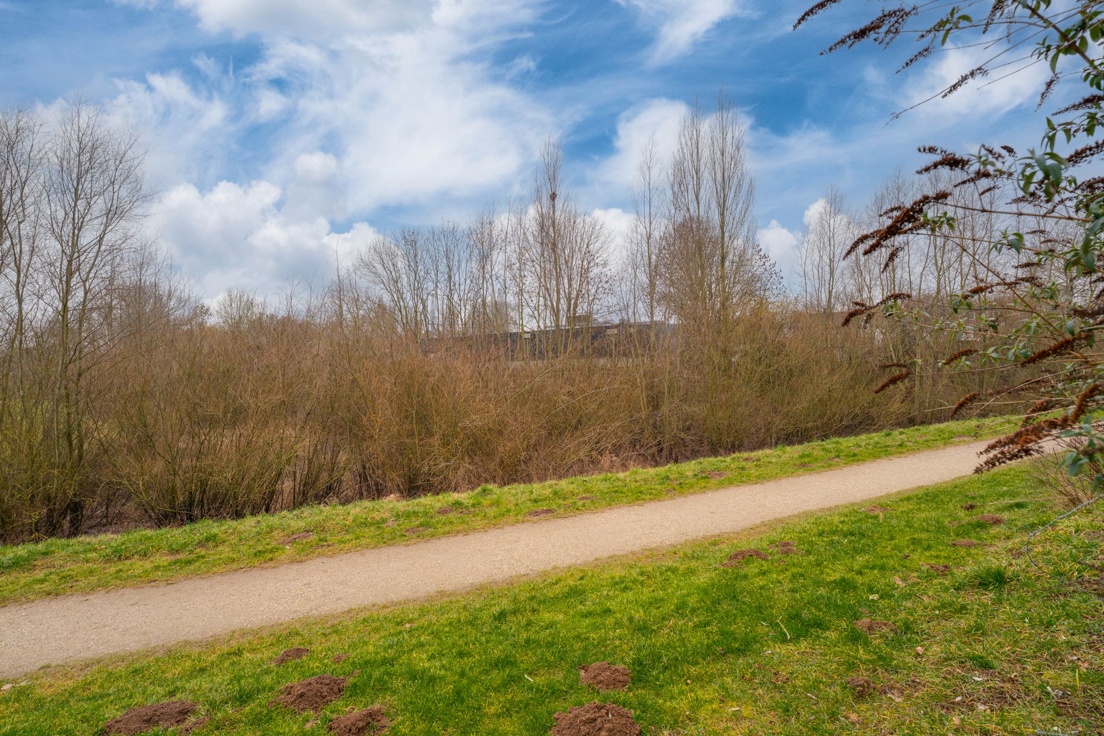 Photo 60 of Rekkenveld 34