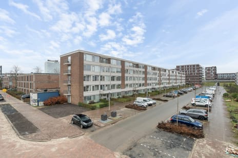 Auriollaan thumbnail