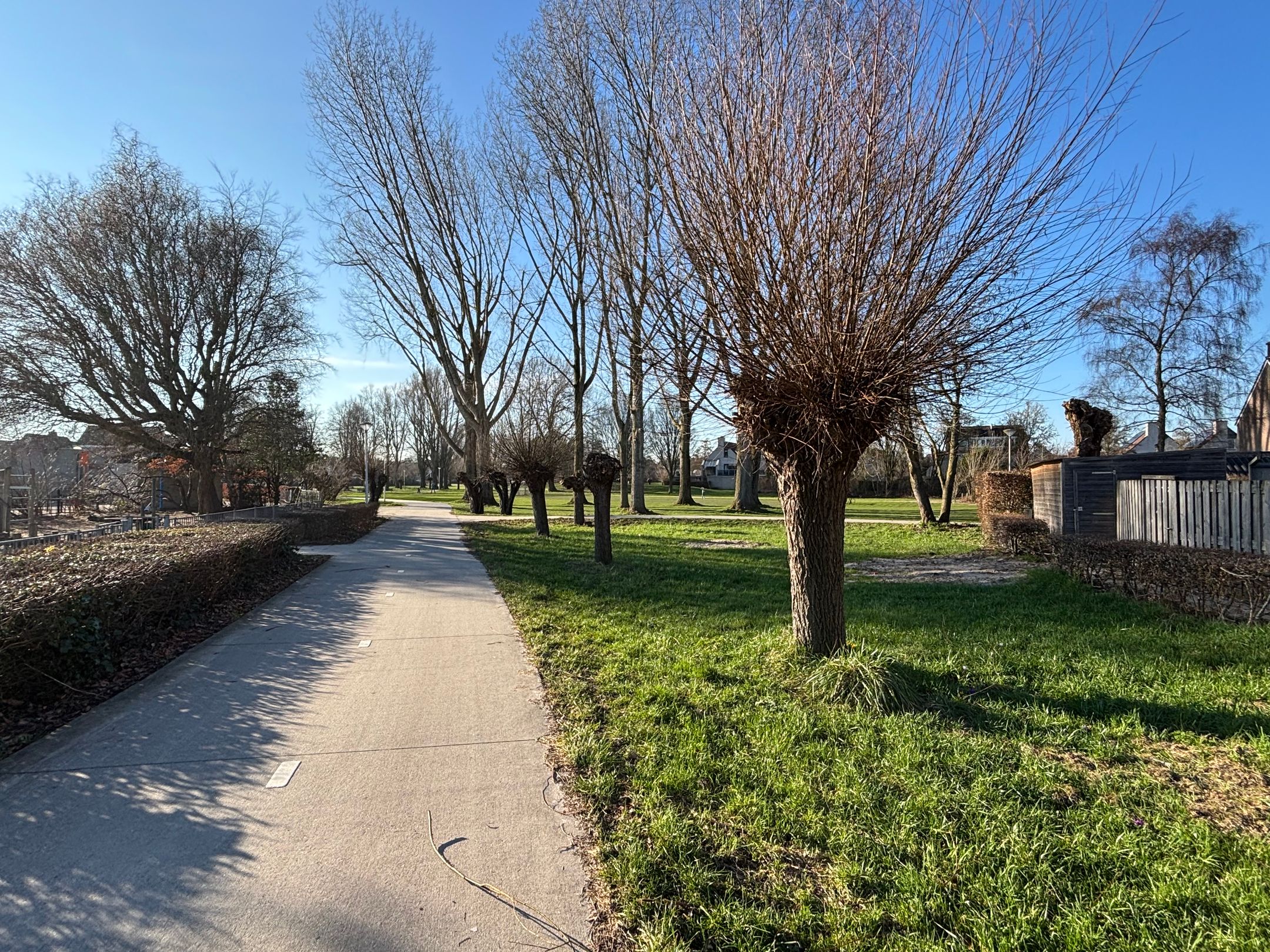 Photo 45 of Wayerkamp 17