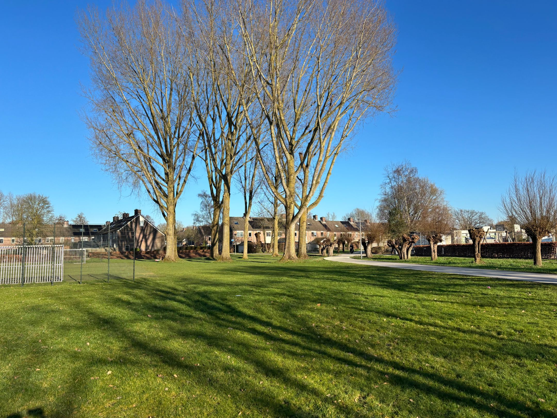 Photo 42 of Wayerkamp 17