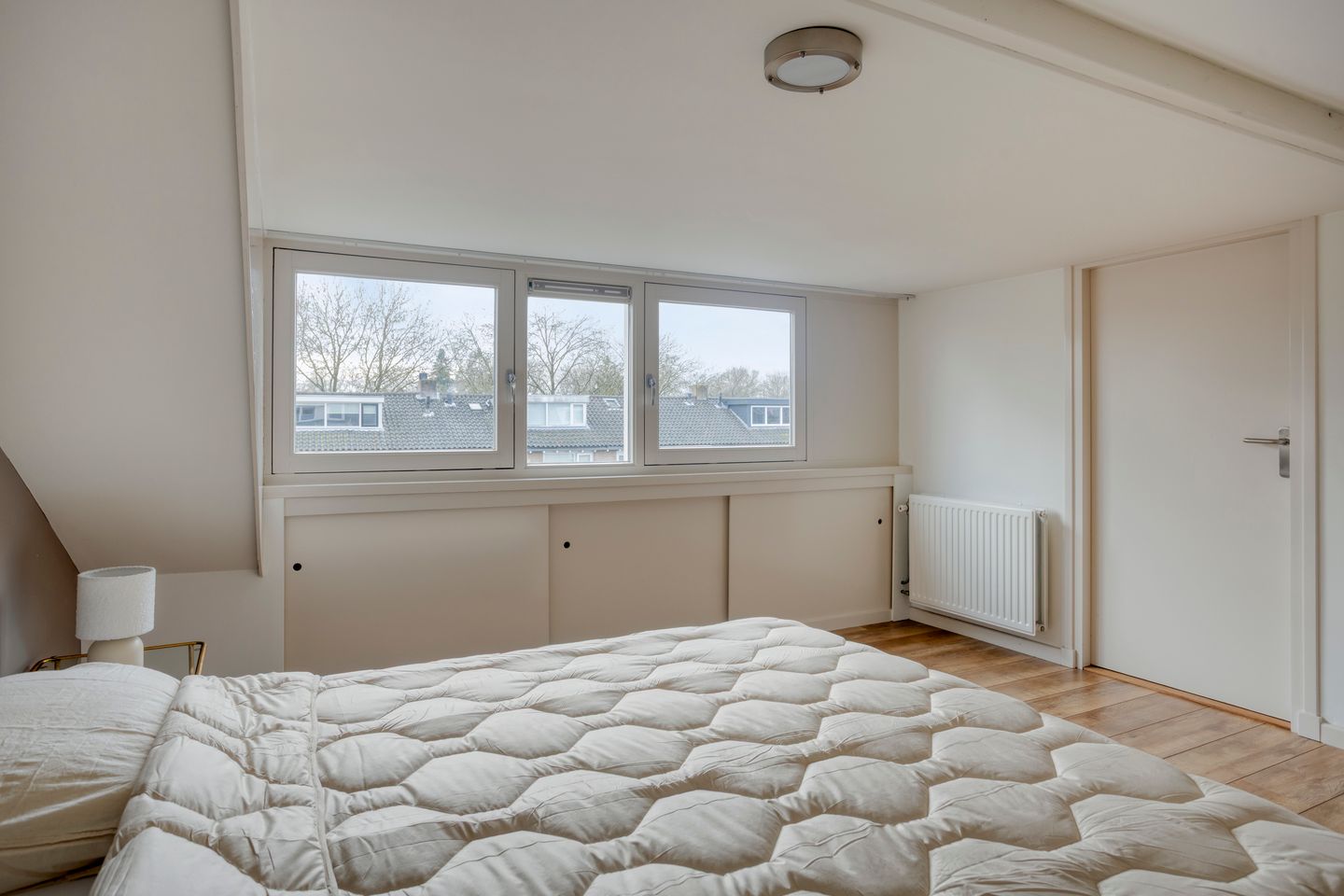 Foto 29 van Dr. Ringersstraat 19