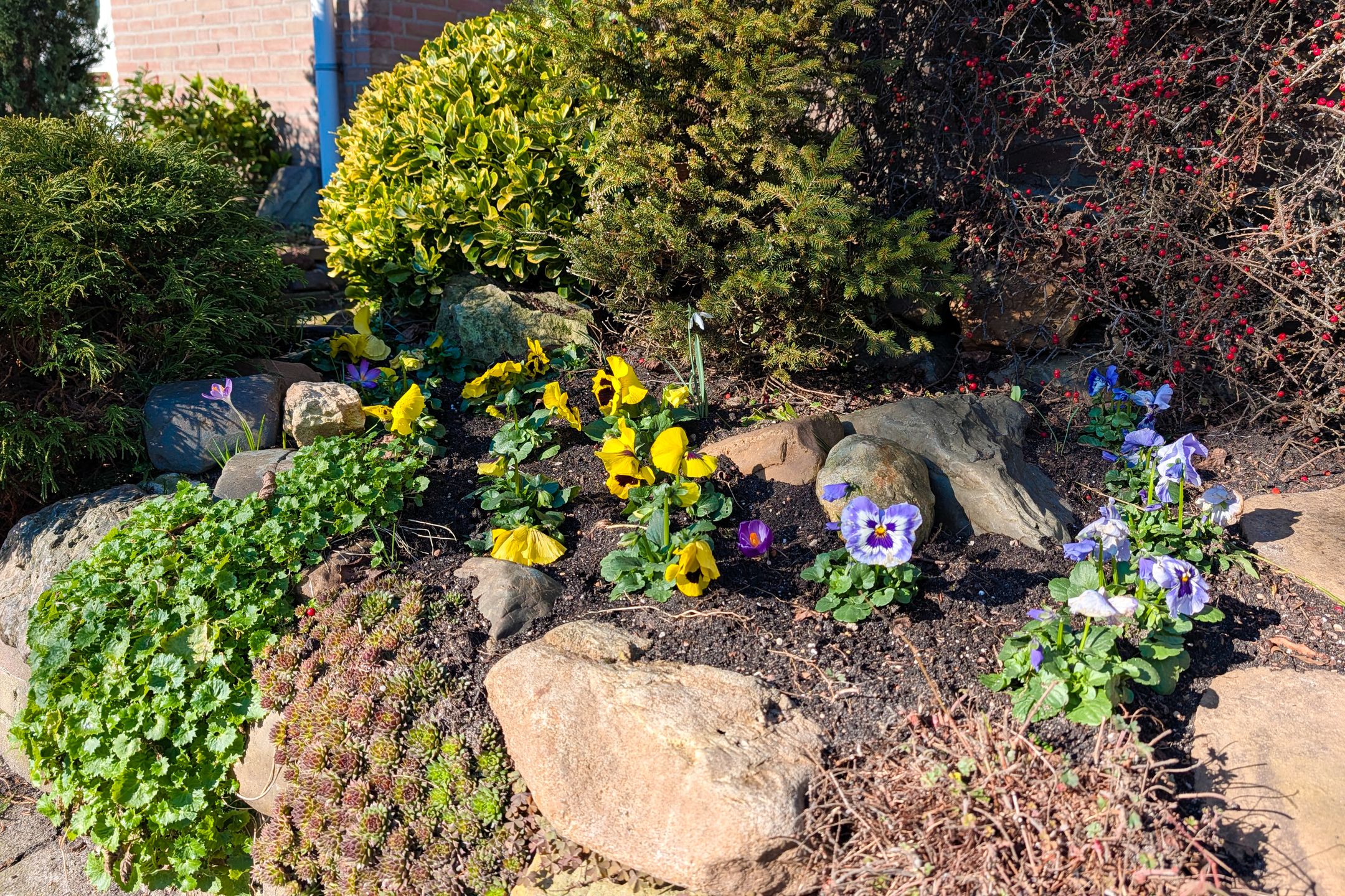 Foto 48 van Brouwershavenstraat 8