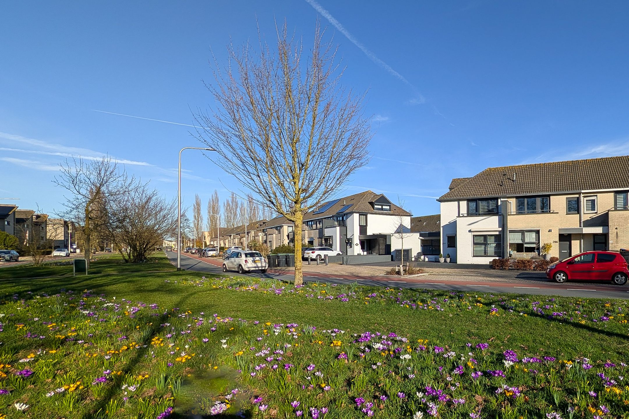 Foto 63 van Bijsterveldenlaan 284