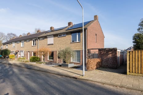 undefined main image