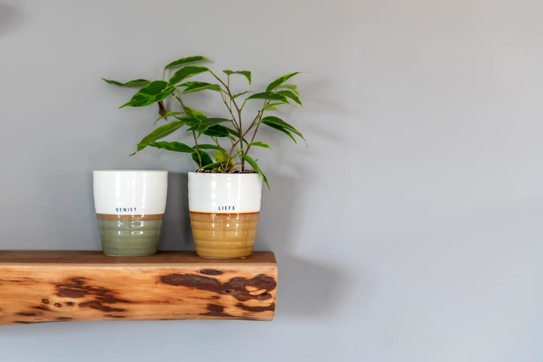 Foto 23 van Emmalaan 15