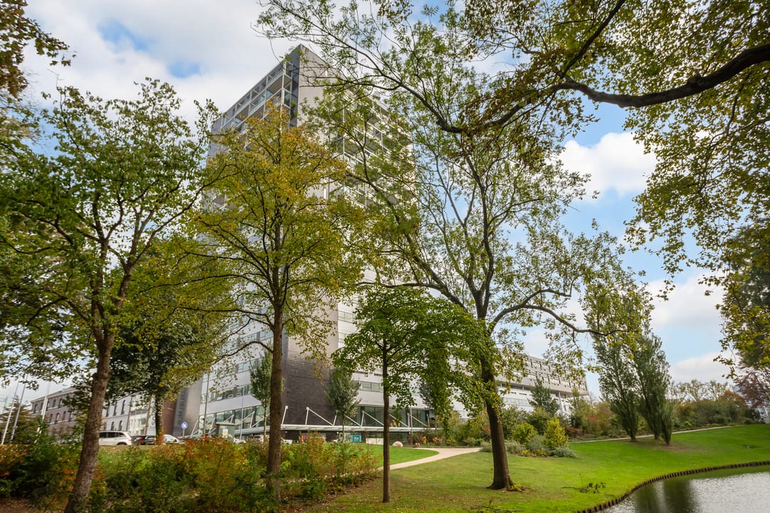 Foto 41 van Westerlaan 59