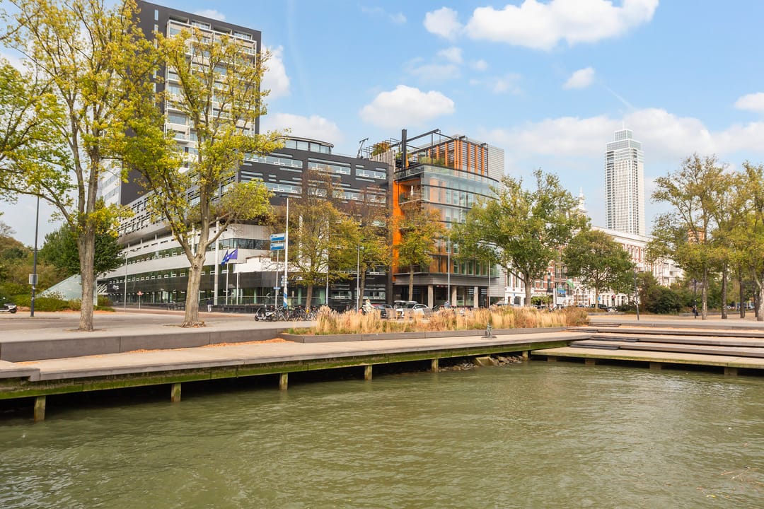 Foto 46 van Westerlaan 59