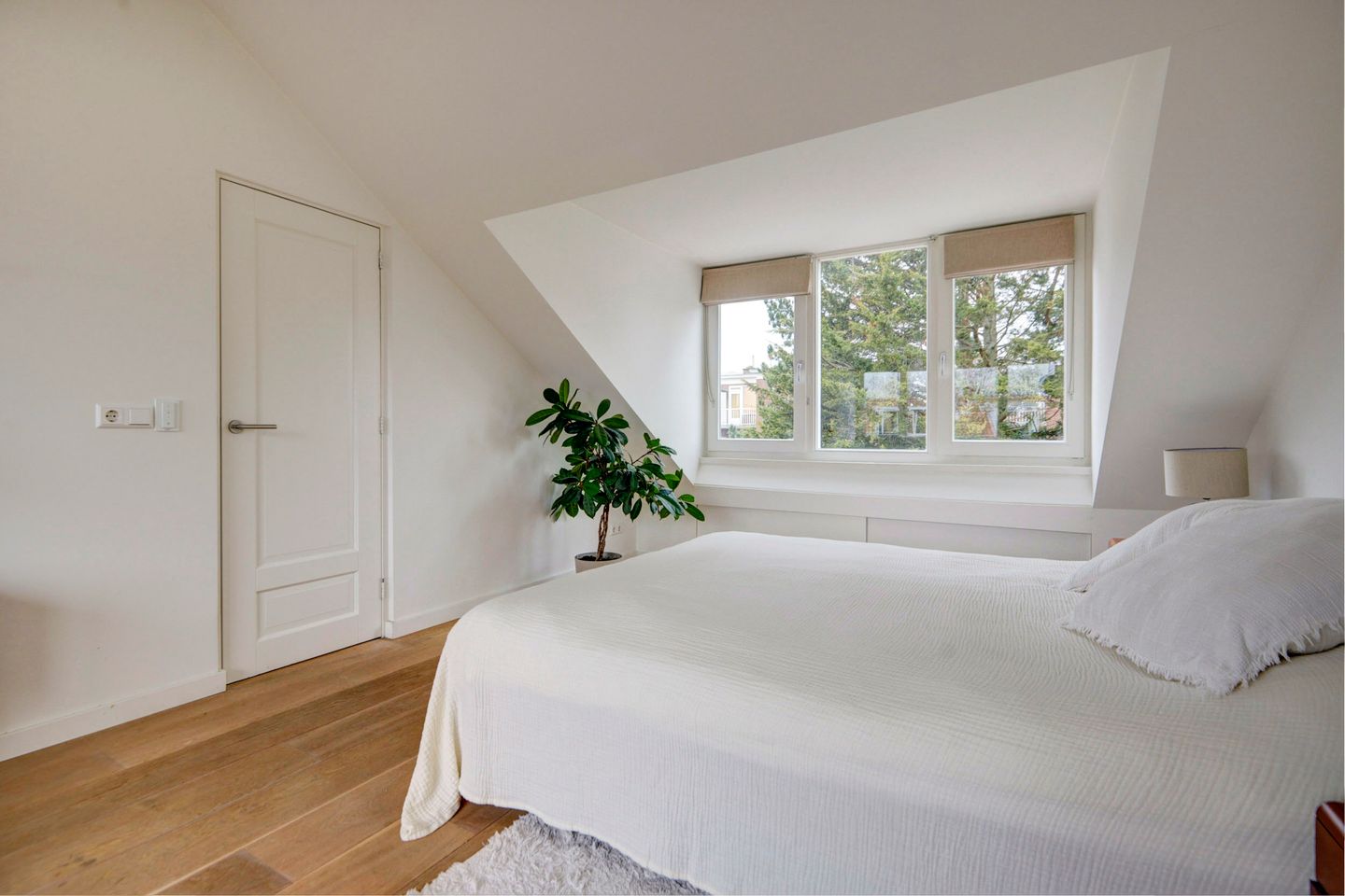 Foto 5 van Frans Netscherstraat 24