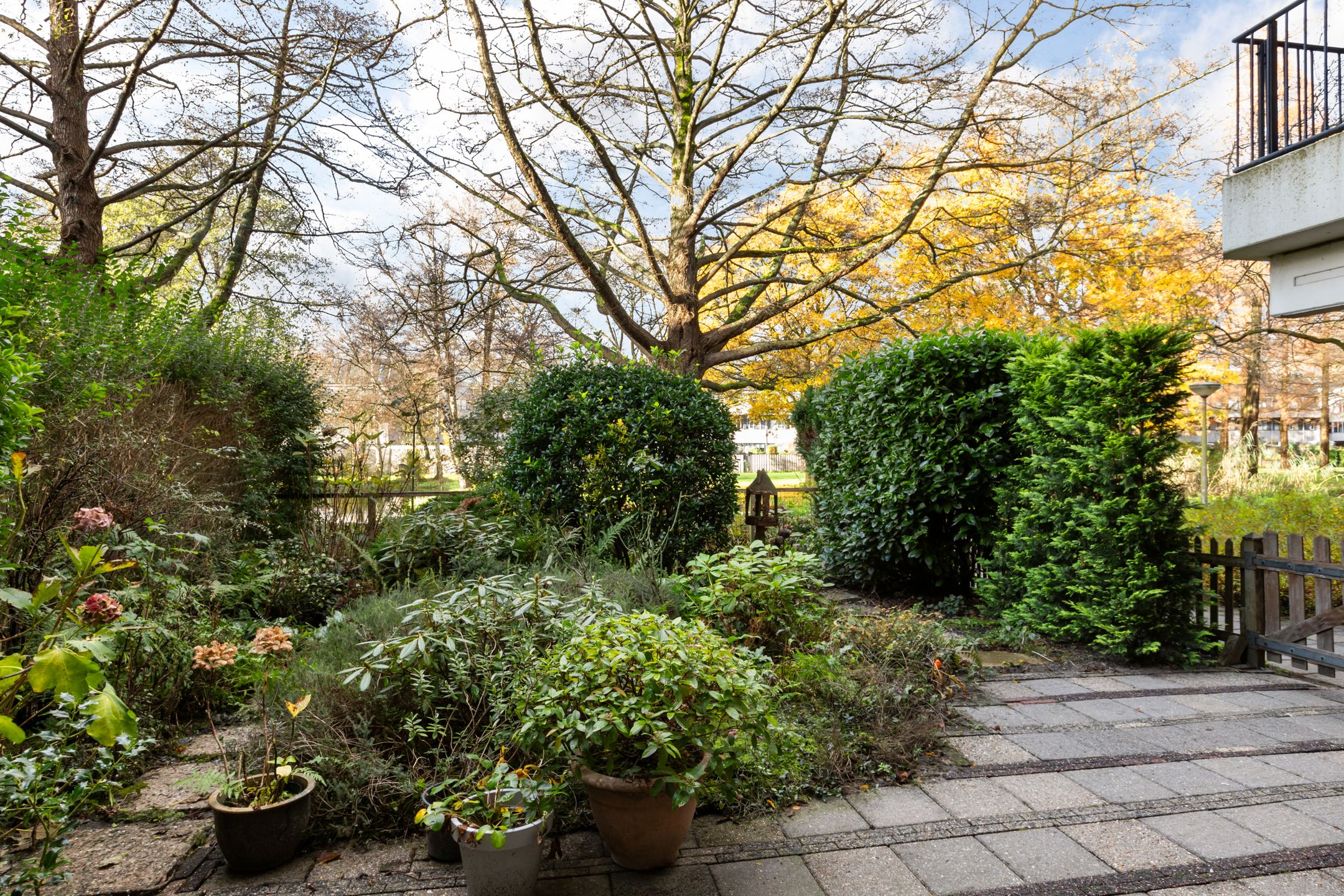 Foto 24 van Ruigenburg 147