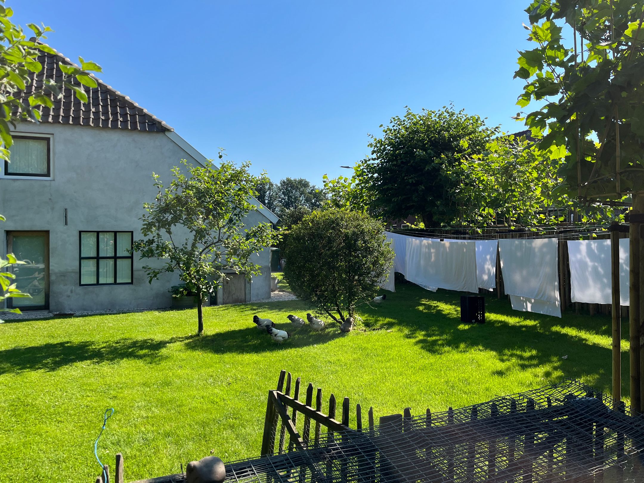 Photo 66 of Hogehoek 7