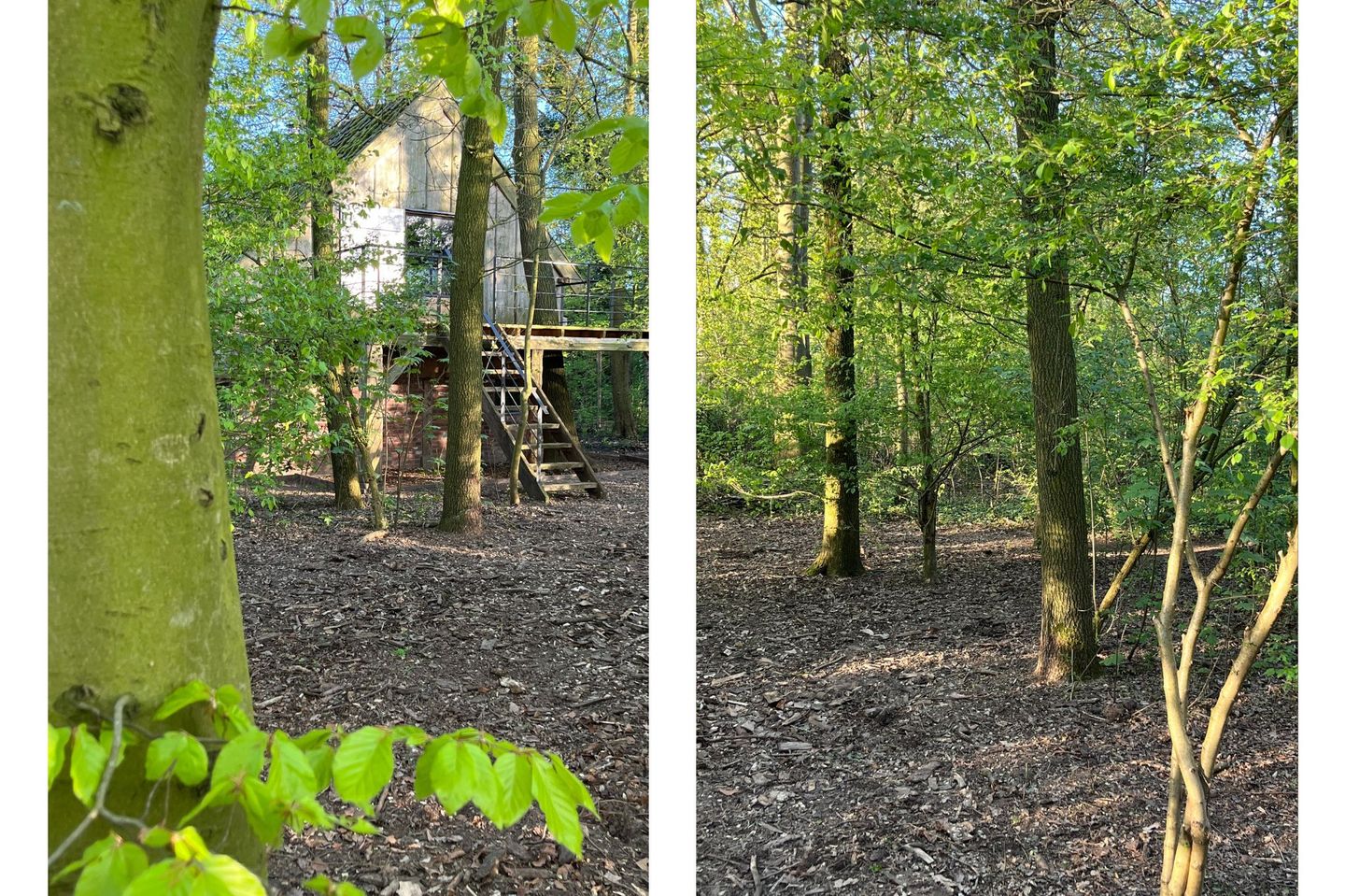 Photo 74 of Hogehoek 7