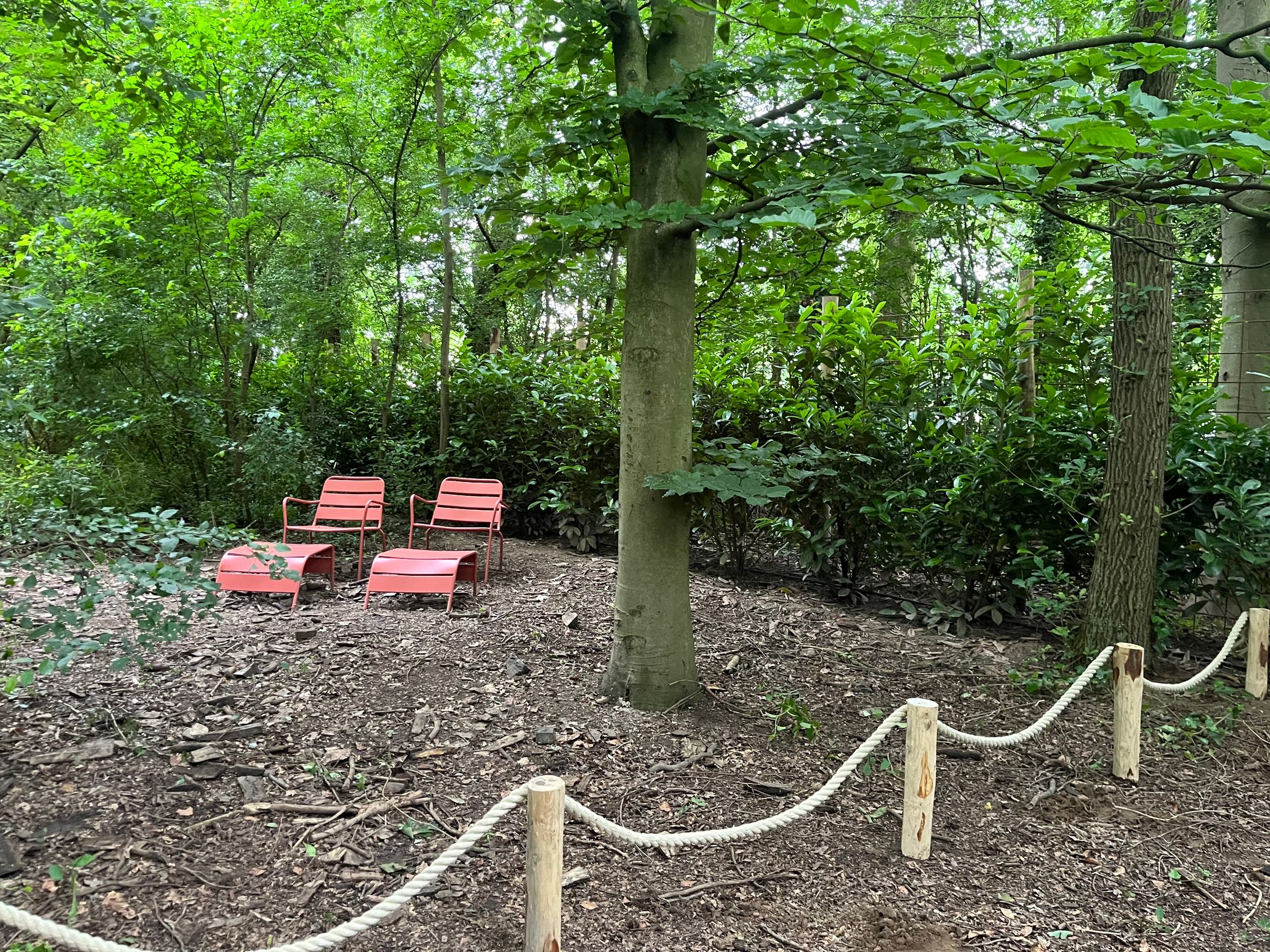 Photo 75 of Hogehoek 7