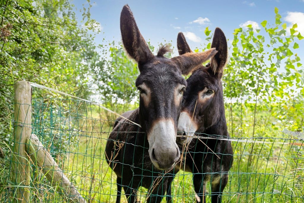 Foto 53 van Steenhovensedijk 17