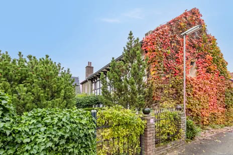 undefined main image