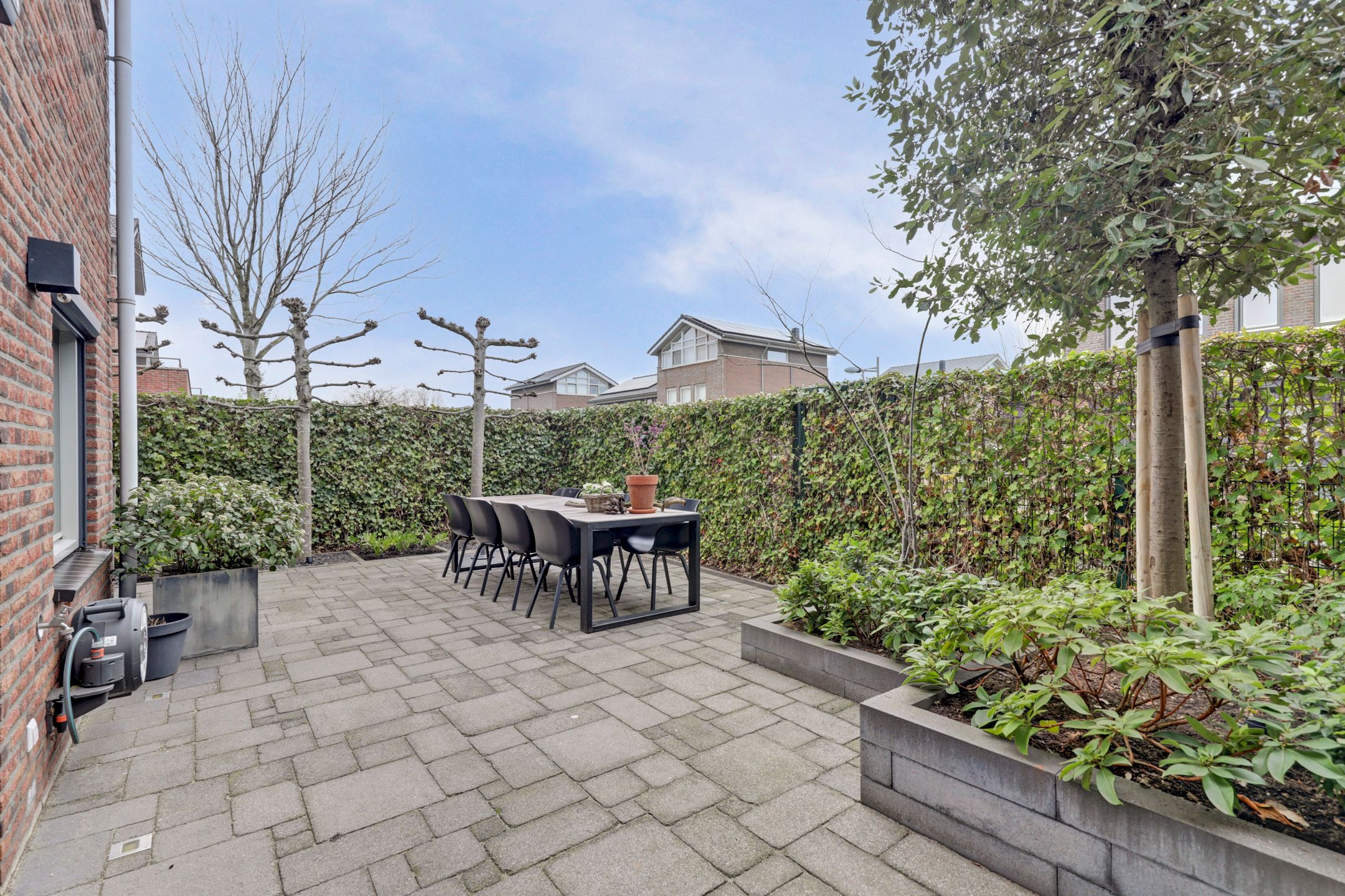 Foto 3 van Bruinvis 15