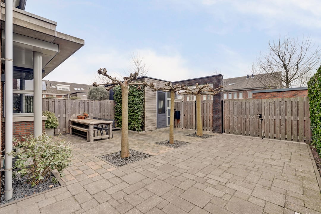 Foto 26 van Bruinvis 15