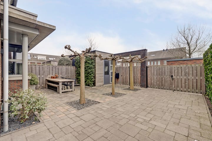 Foto 26 van Bruinvis 15