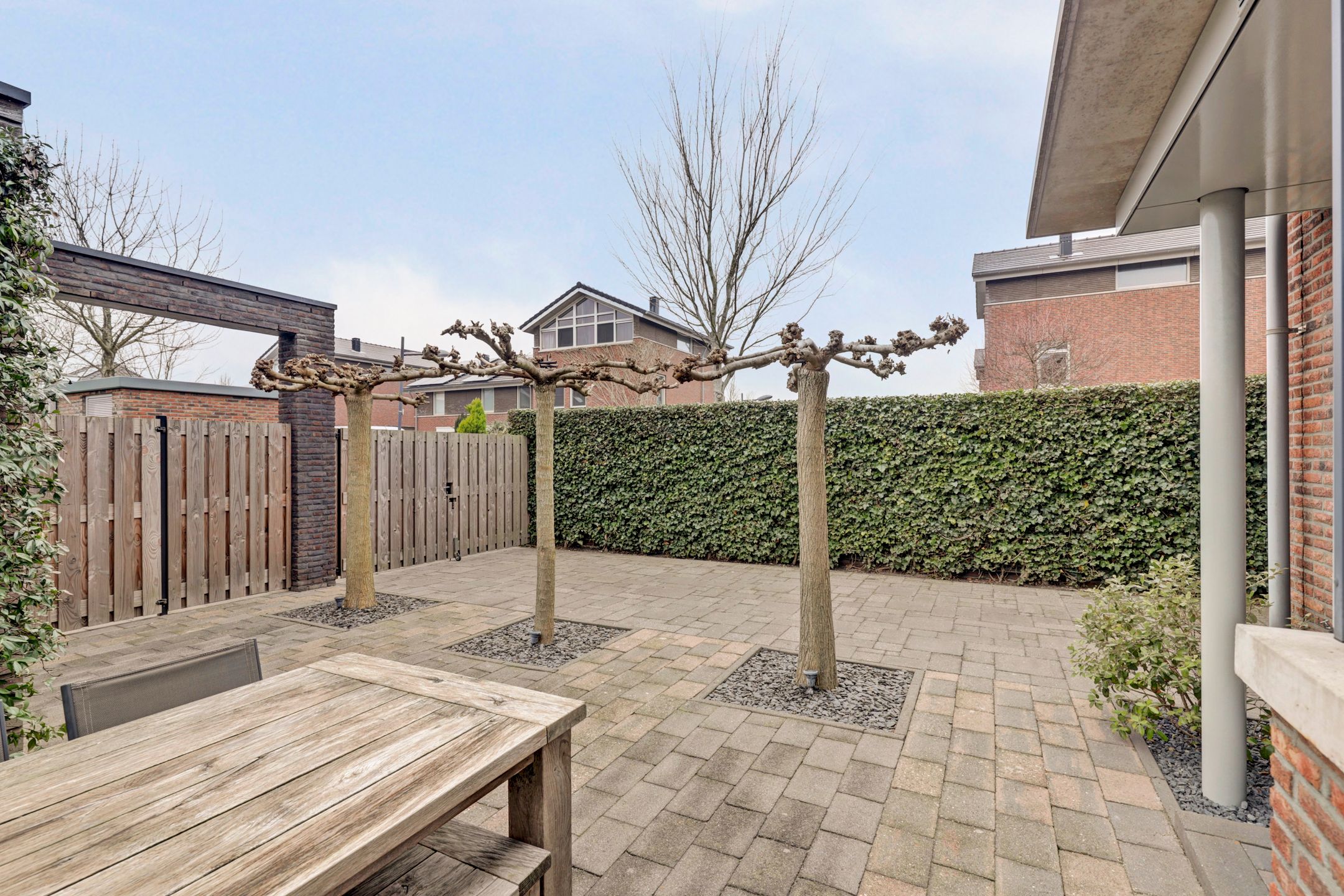 Foto 27 van Bruinvis 15