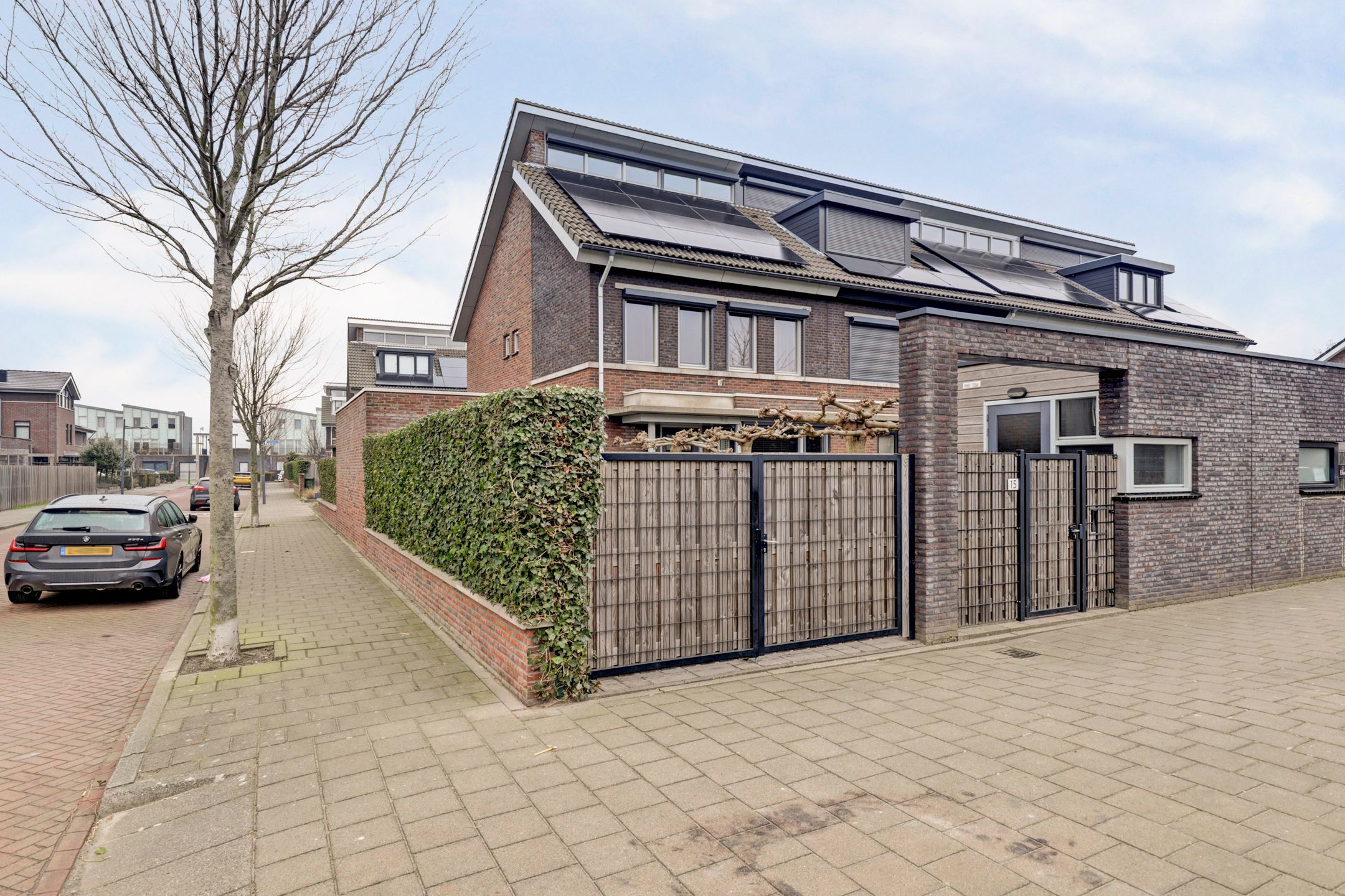 Foto 30 van Bruinvis 15