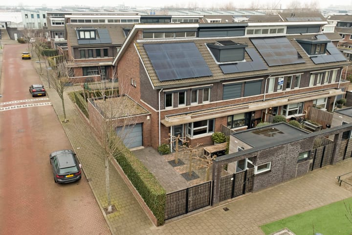 Foto 31 van Bruinvis 15