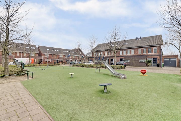 Foto 34 van Bruinvis 15