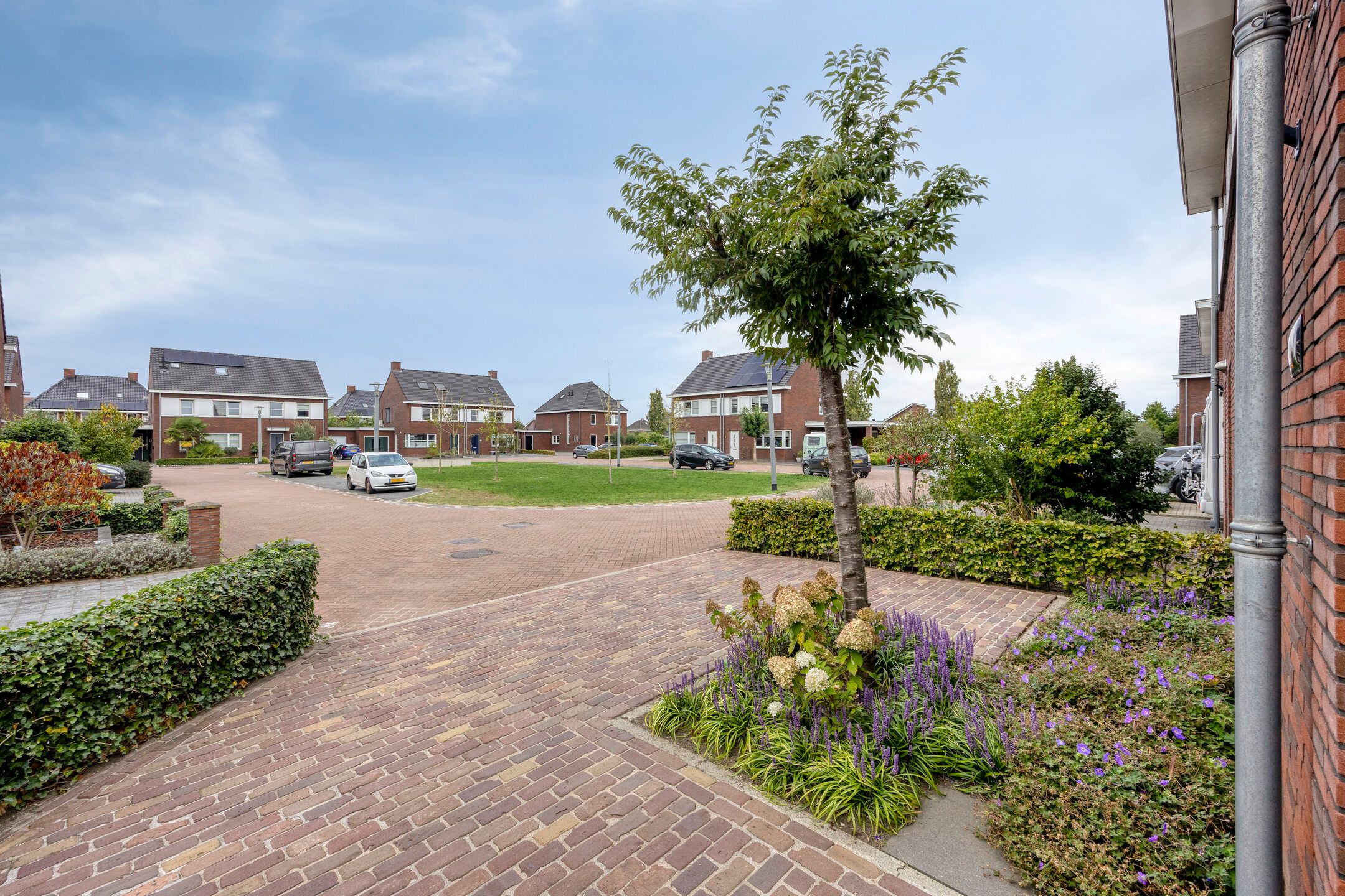 Foto 9 van Magnolia 8