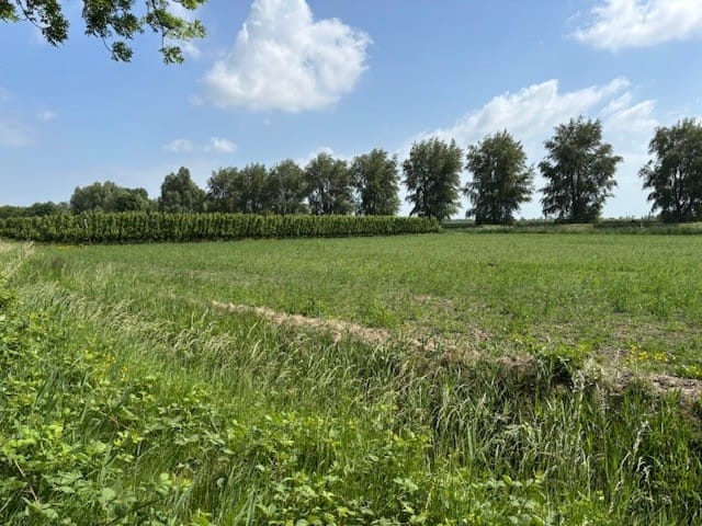 Bekijk foto 5 van Zwinweg