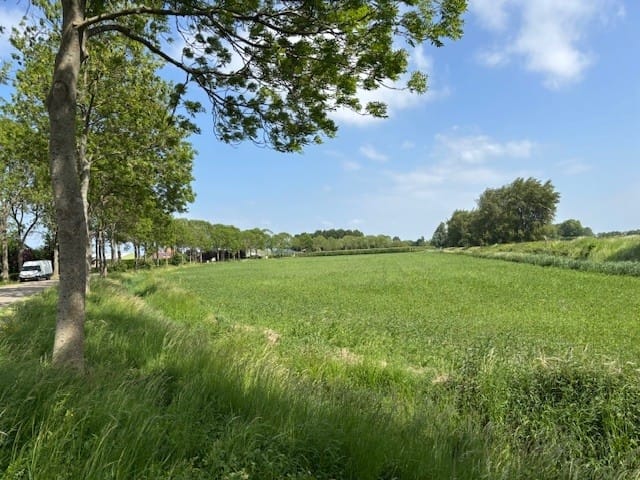 Bekijk foto 3 van Zwinweg