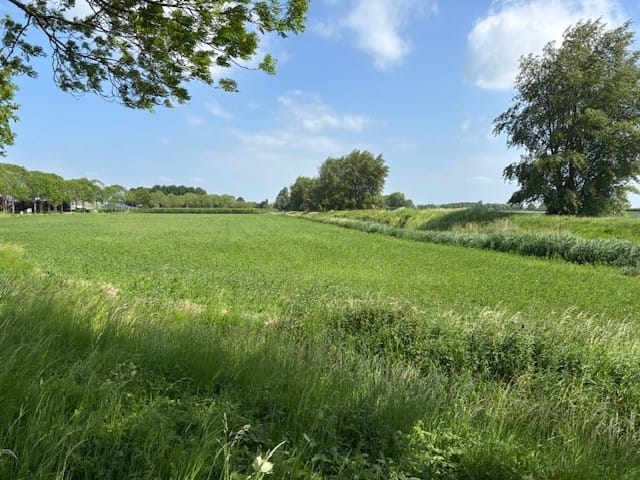 Bekijk foto 2 van Zwinweg