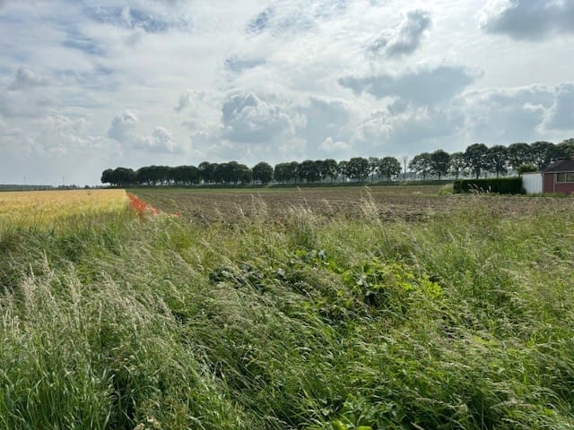 Bekijk foto 4 van Zandstraat