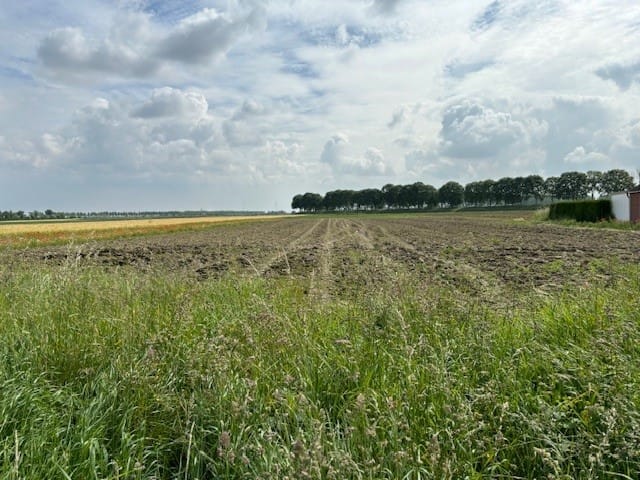 Bekijk foto 3 van Zandstraat