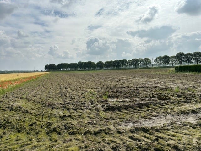 Bekijk foto 5 van Zandstraat