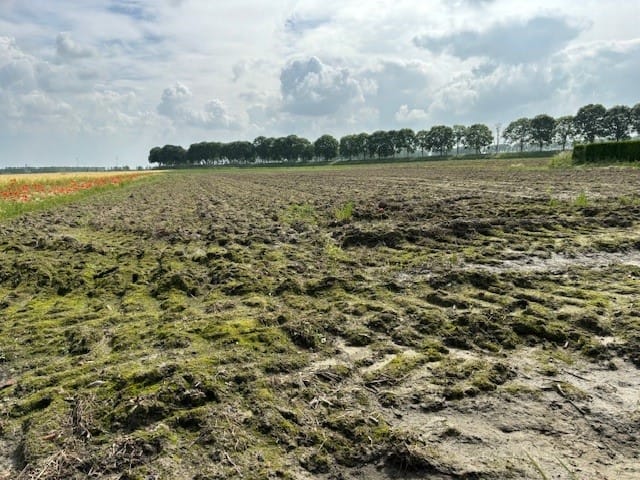 Zandstraat - Sas van Gent - Afbeelding 7