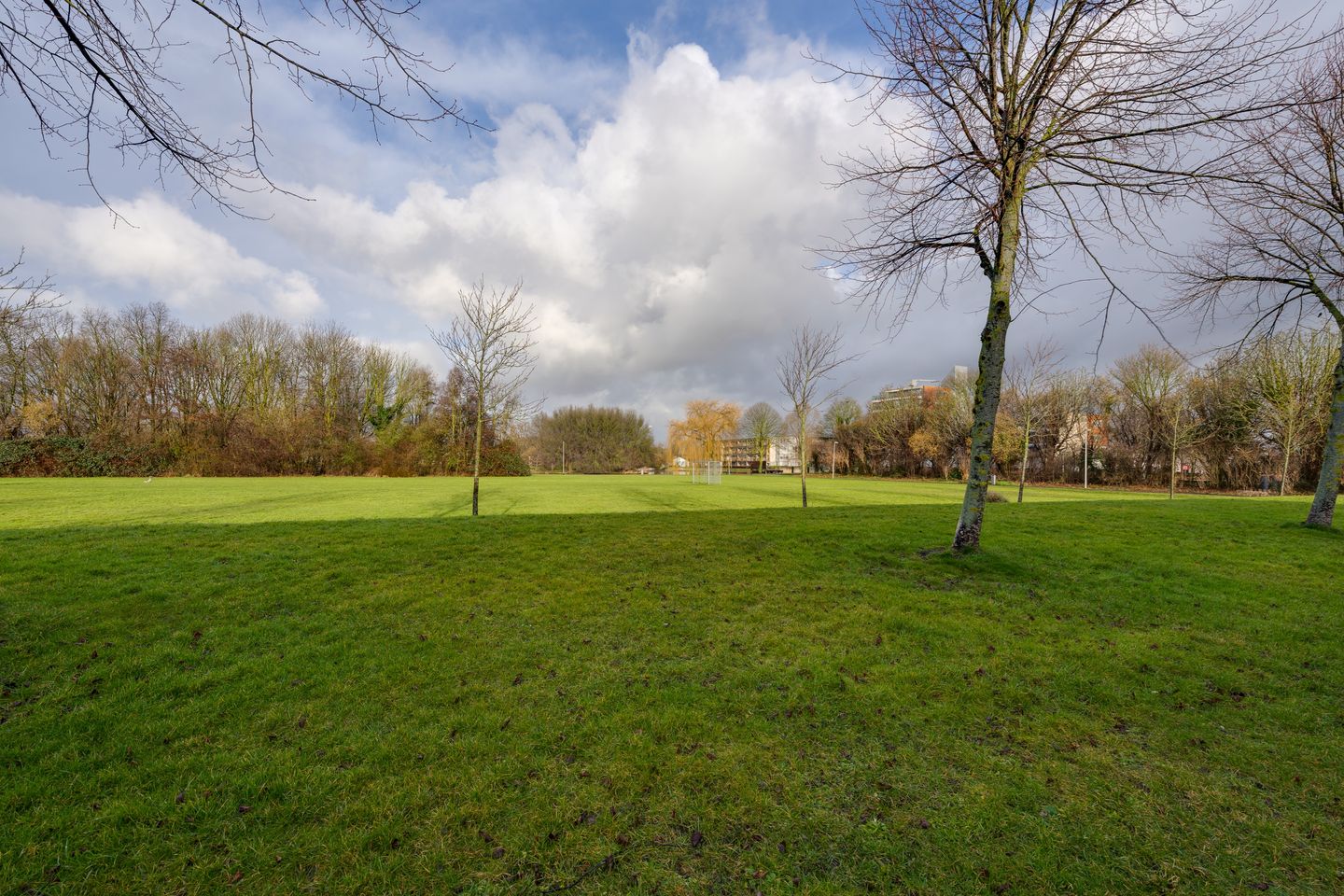 Foto 50 van Monteverdistraat 123