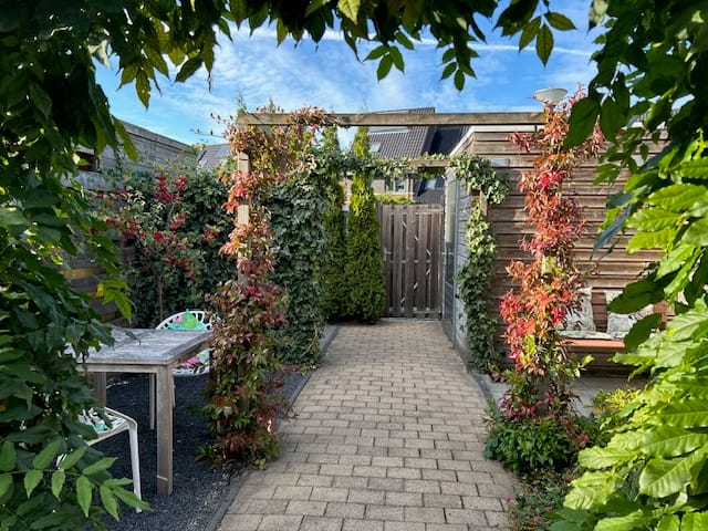 Photo 38 of Buckhorstlaan 23