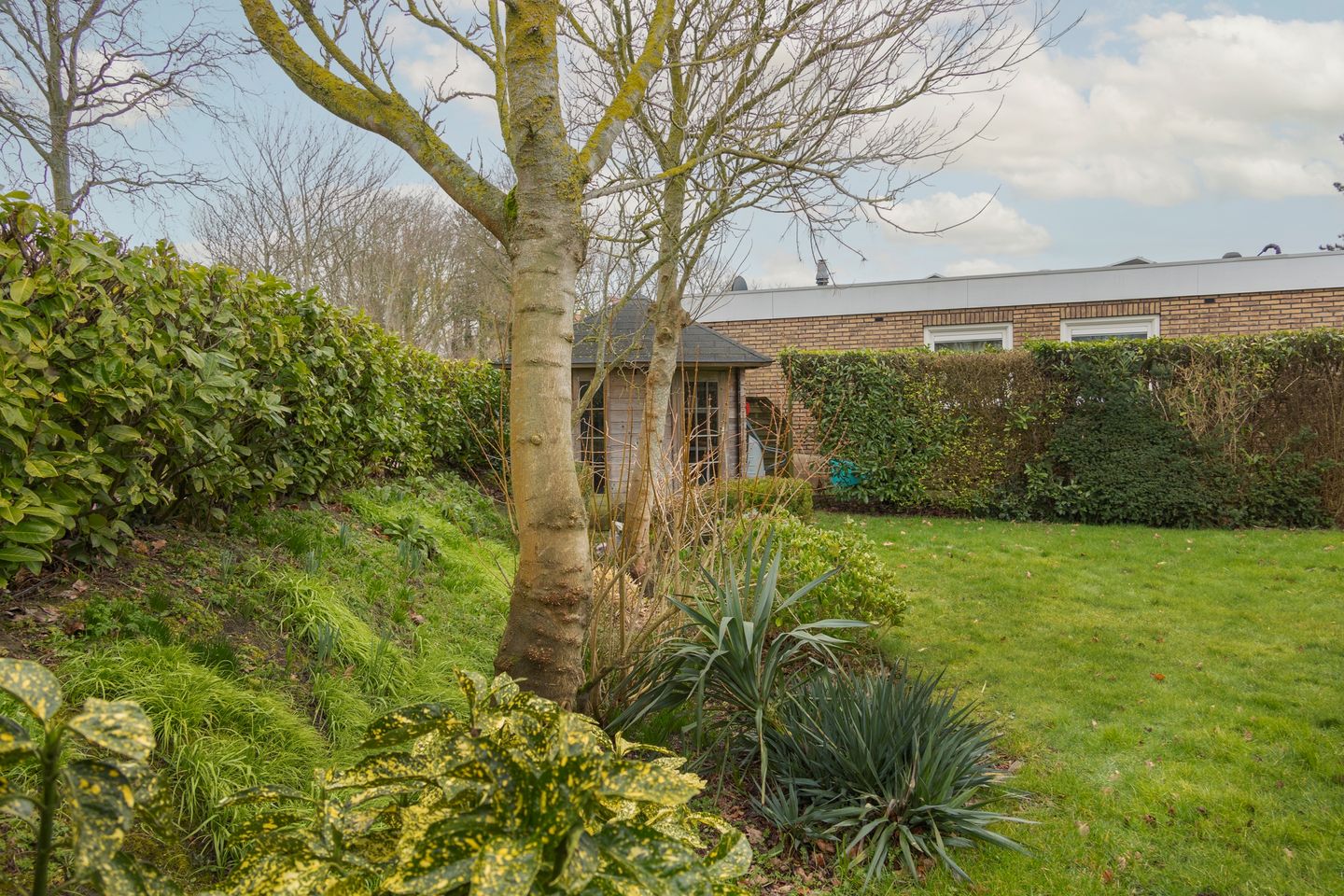 Foto 4 van Alexanderpark 100