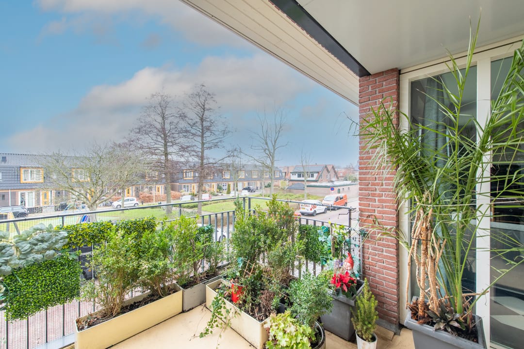 Photo 32 of De Brink 28