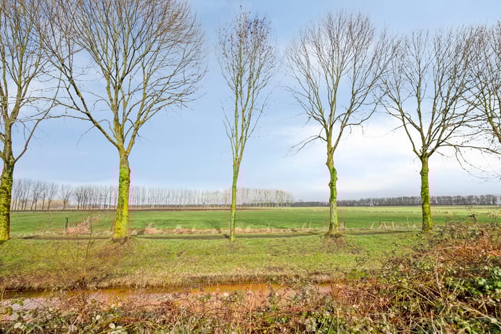 Foto 24 van Abraham Kuijperstraat 55