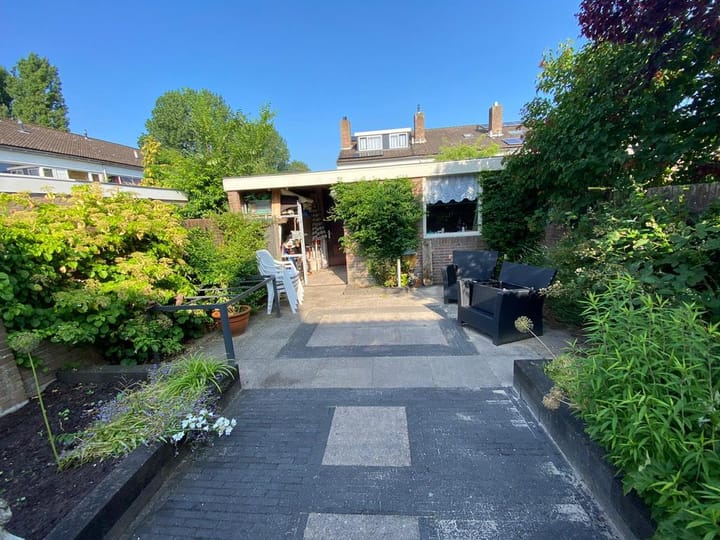 Foto 5 van Boterbloem 10