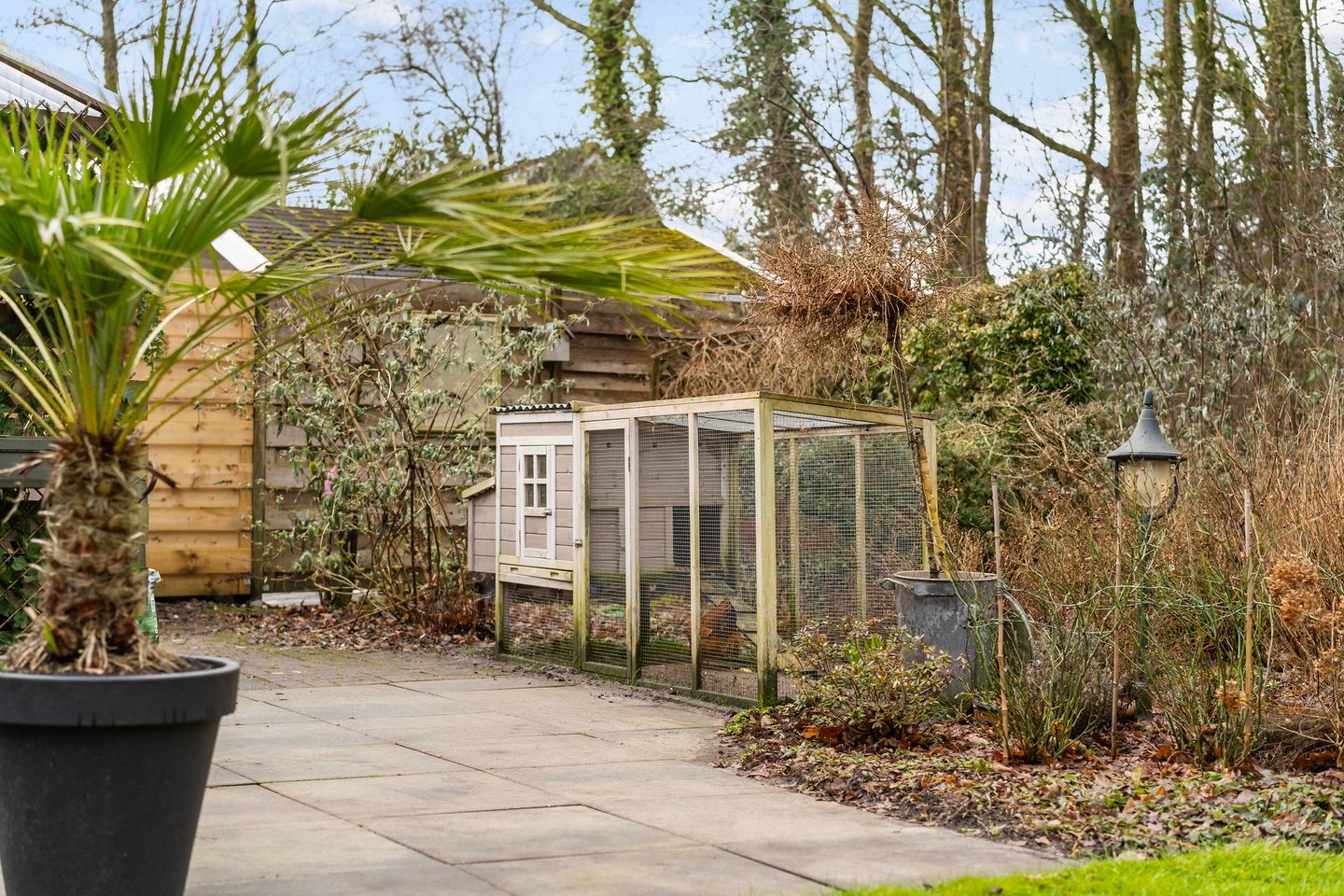 Foto 40 van Akasiahôf 24