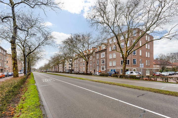 Foto 2 van Paulus Potterstraat 18