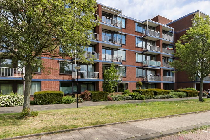 Photo 3 of Burgemeester de Raadtsingel 233