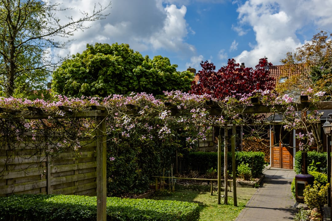 Foto 38 van Leliestraat 75