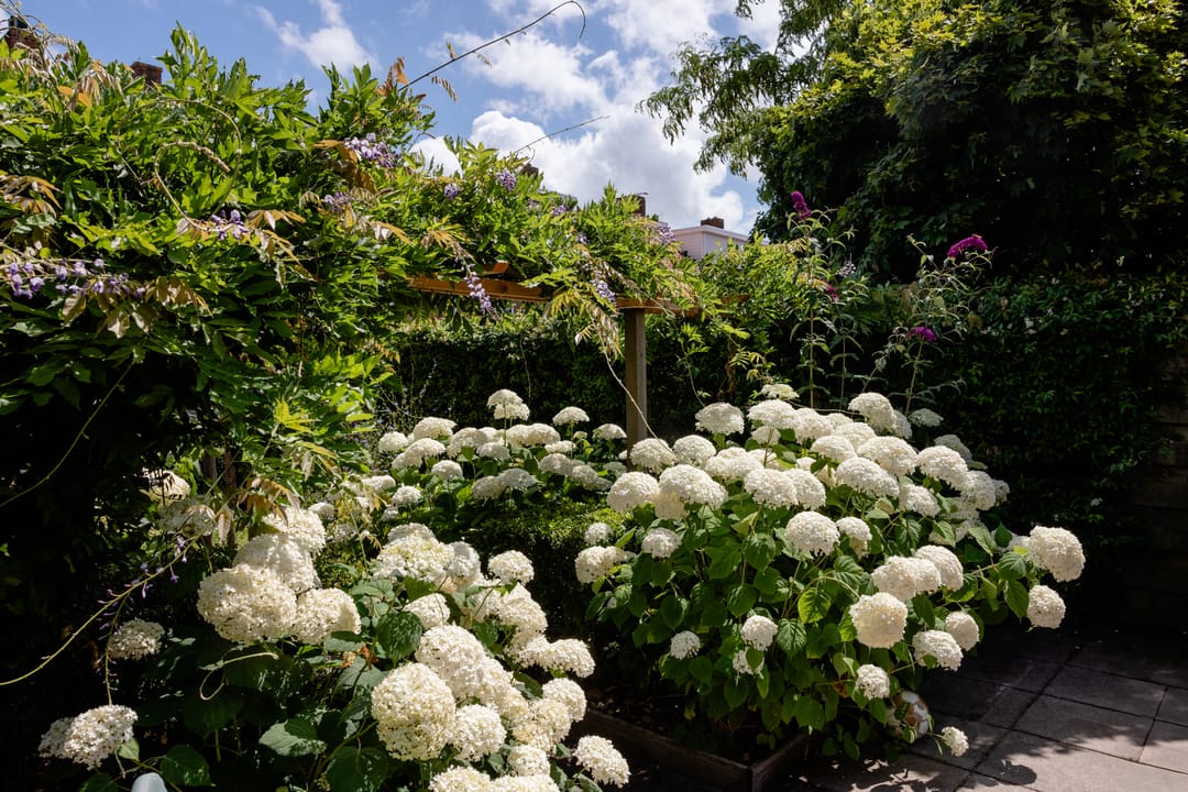 Foto 41 van Leliestraat 75