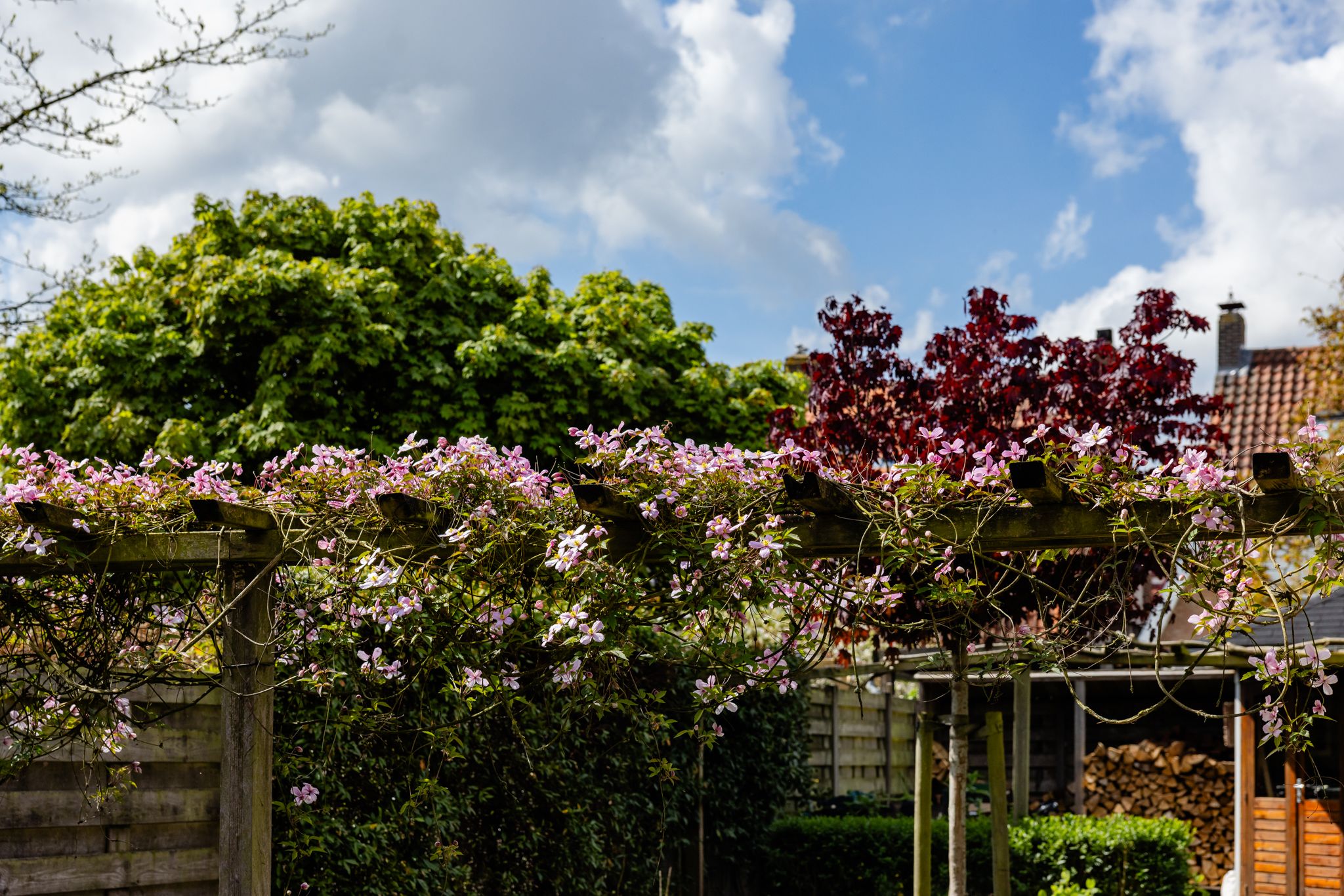 Foto 42 van Leliestraat 75