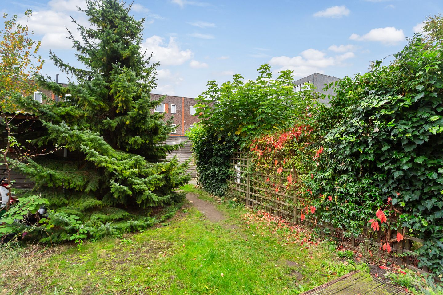 Foto 20 van Kraaijvangerstraat 16